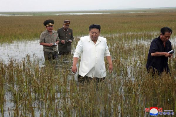 Kim also waded through waist-high waters along with officials. 