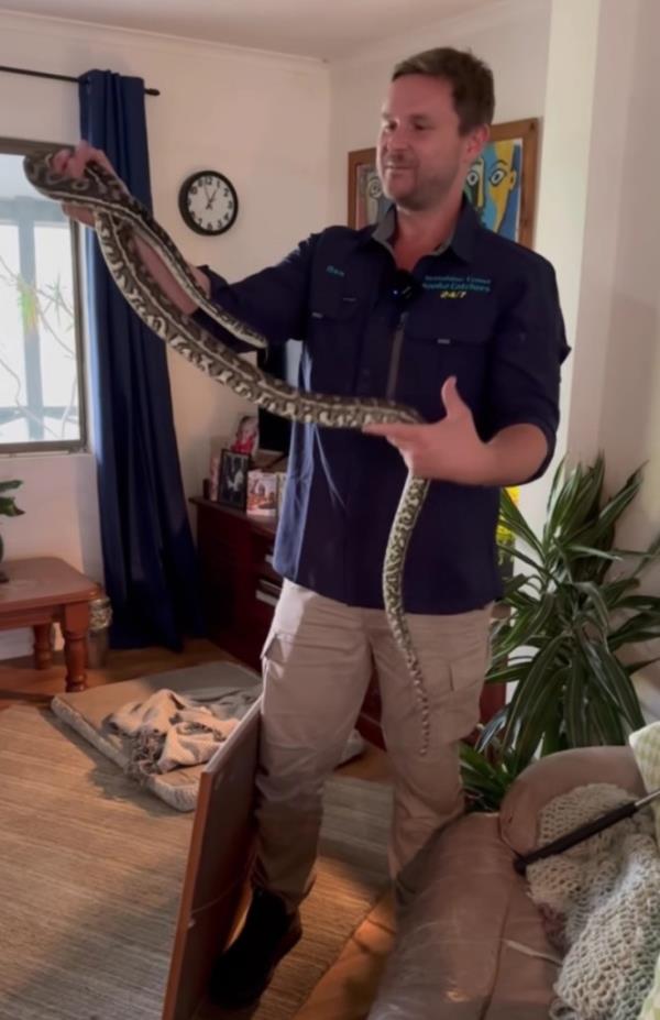 A group of people was shaken up after finding a snake lurking behind a photo f<em></em>rame in their living room.
