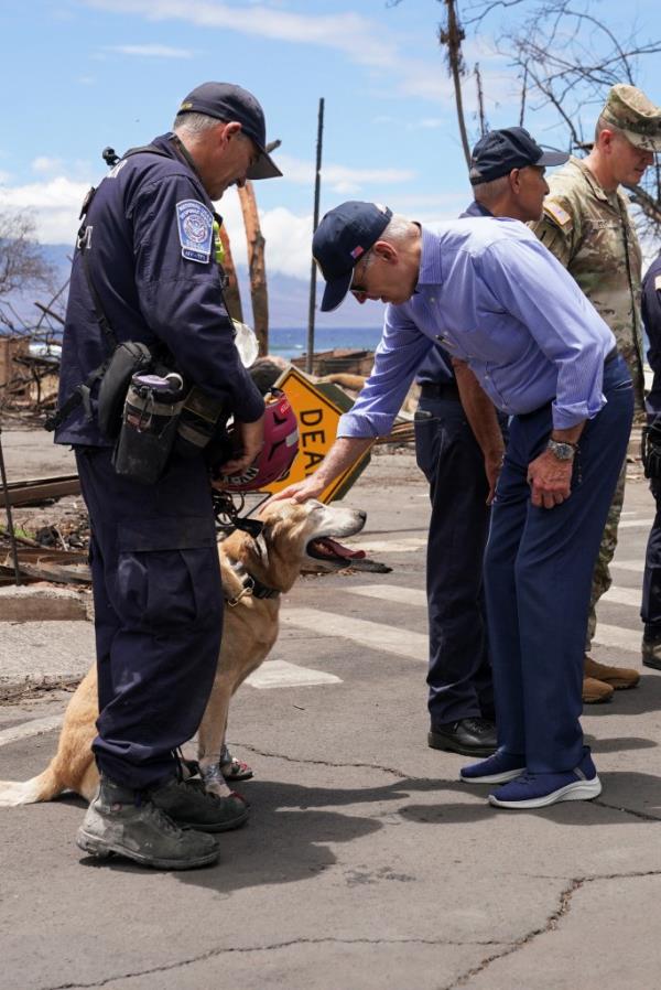 Joe Biden pets a cadaver dog named Dexter in Lahaina on Monday.