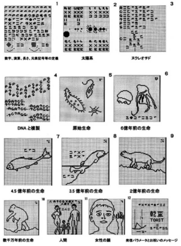 The 13 images Astro<em></em>nomers beamed into space in 1983.