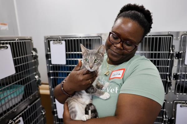 A volunteer holds a cat at the newly opened Flatbush Veterinary Clinic, which aims to provide affordable medical care