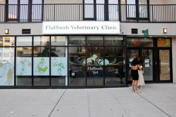 Flatbush Veterinary Clinic in Brooklyn