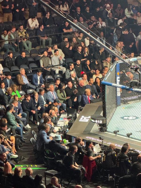 A series of Trump’s cabinet nominees sat behind him at the UFC fight.